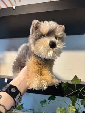 Douglas Yorkie